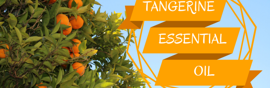 Tangerine Essential Oil from Beeyoutiful.com