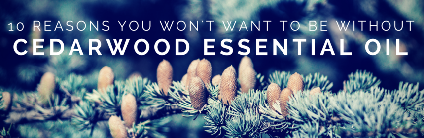 10 Reasons You Won't Want To Be Without Cedarwood #EssentialOil from Beeyoutiful.com (2)